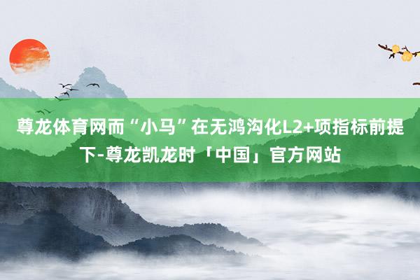 尊龙体育网而“小马”在无鸿沟化L2+项指标前提下-尊龙凯龙时「中国」官方网站