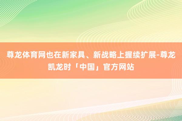 尊龙体育网也在新家具、新战略上握续扩展-尊龙凯龙时「中国」官方网站