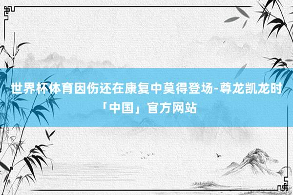 世界杯体育因伤还在康复中莫得登场-尊龙凯龙时「中国」官方网站